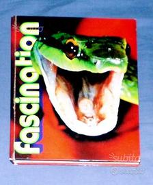 Fascination-snakes and lizards