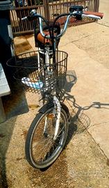 bici elettrica