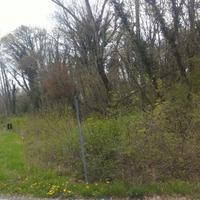 Terreno, centro geografico del Friuli