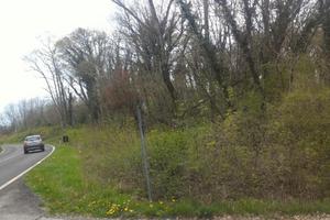 Terreno, centro geografico del Friuli