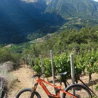 e mountain bike taglia L