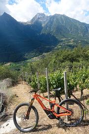 e mountain bike taglia L