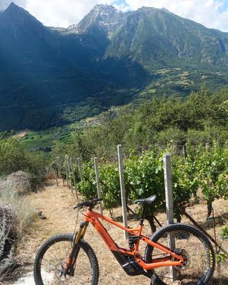 e mountain bike taglia L