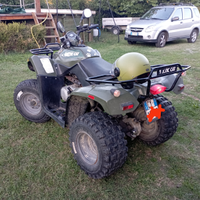 Quad Artic Cat 250 2x4