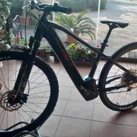 bicicletta elettrica