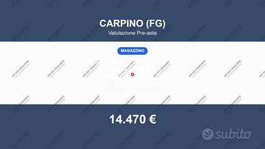 Immobile in asta di 71 m² a Carpino