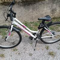 Bici lombardo