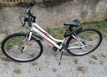 Bici lombardo