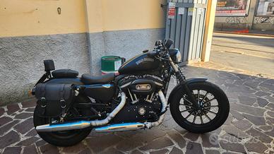 Harley-davidson XL 883 2012
