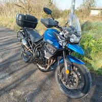 Triumph Tiger 800