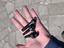 Immagine 4