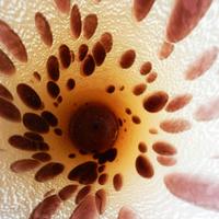 Vaso in vetro soffiato di Murano