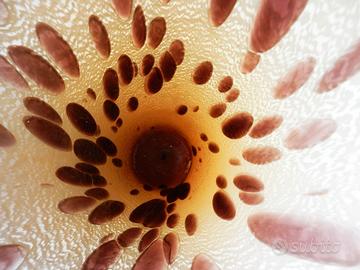 Vaso in vetro soffiato di Murano