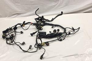 CABLAGGIO ELETTRONICO PRINCIPALE DUCATI MULTISTRAD