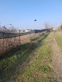 Terreno agricolo orbassano