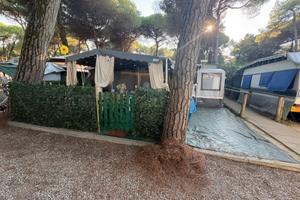 Roulotte stanziale a ravenna