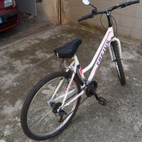 Mountain bike da donna 26