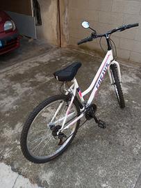 Mountain bike da donna 26