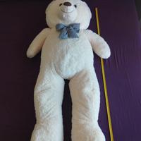 Peluche Orso gigante 