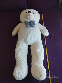 Peluche Orso gigante 