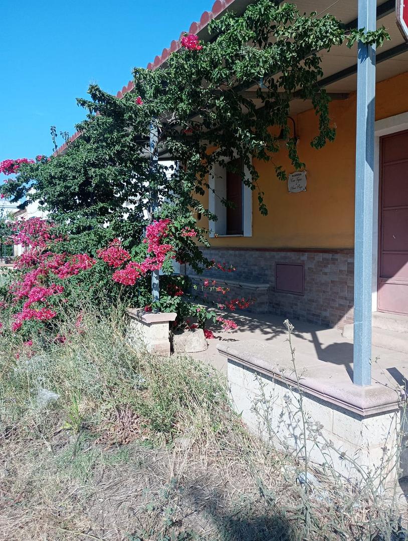 Terreno 7 ettari con casetta - Vista 4