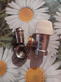 Valvola e detentore termosifone