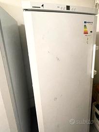 Due Congelatori verticali marca Liebherr