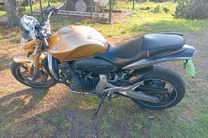 Hornet  CBF 600 Anno 2009   3200e