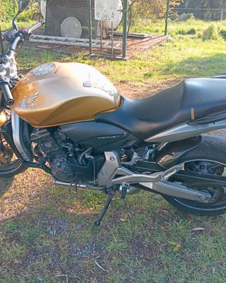 Hornet  CBF 600 Anno 2009   3200e