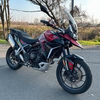 Triumph Tiger 900 GT PRO