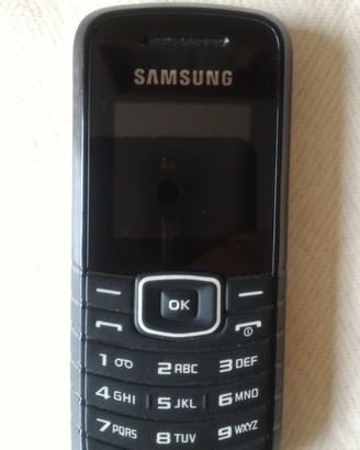 Cellulare Samsung