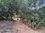 Immagine 17