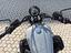 Immagine 12
