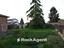 Immagine 18