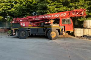 Liebherr 25 ton