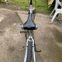 Mountan bike Nerbike in alluminio .