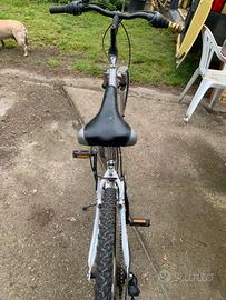 Mountan bike Nerbike in alluminio .