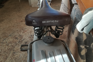 Mosquito garelli bianchi