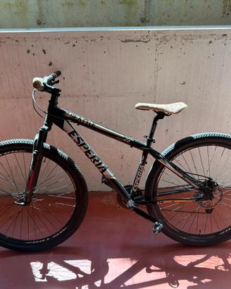Bicicletta