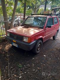 panda 