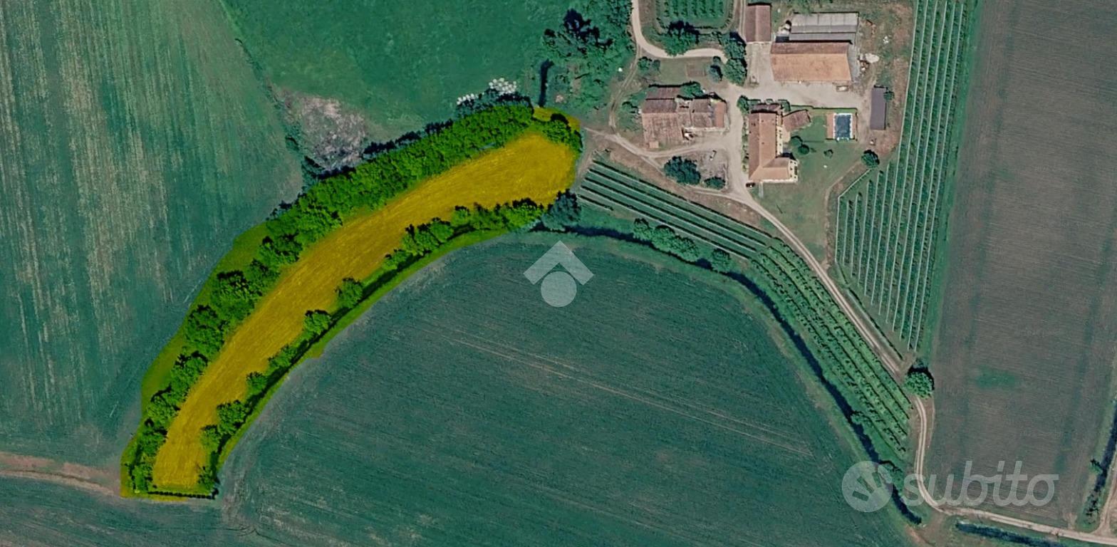 TER. AGRICOLO A GOITO - Vista 4