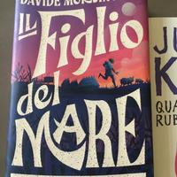 Libro figlio del mare - Judith Kerr