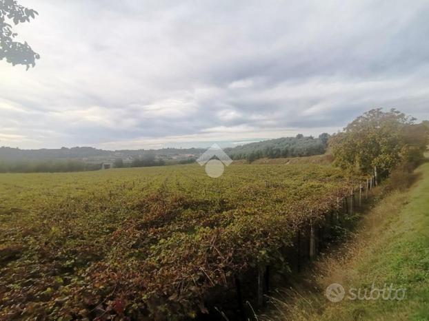 TER. AGRICOLO A BARDOLINO