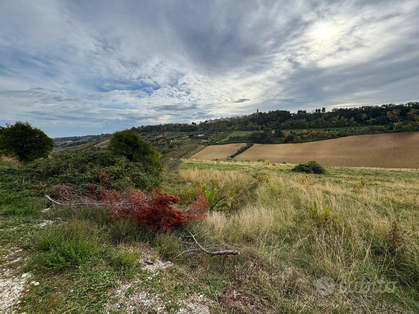 Terreno - Altidona - Vista 5
