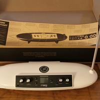 Moog Theremini perfetto!