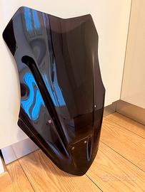 Cupolino Triumph Tiger 1050 Sport