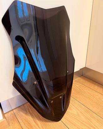 Cupolino Triumph Tiger 1050 Sport