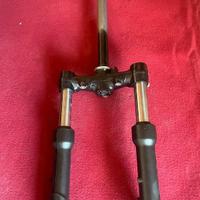 forcelle beverly 400 2022 2023 2024 2025