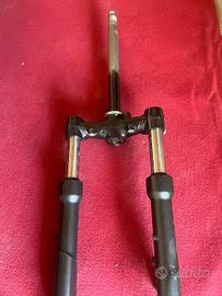 forcelle beverly 400 2022 2023 2024 2025