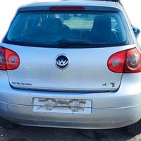 Volkswagen Golf V 1.9 TDI cod. mot. BKC